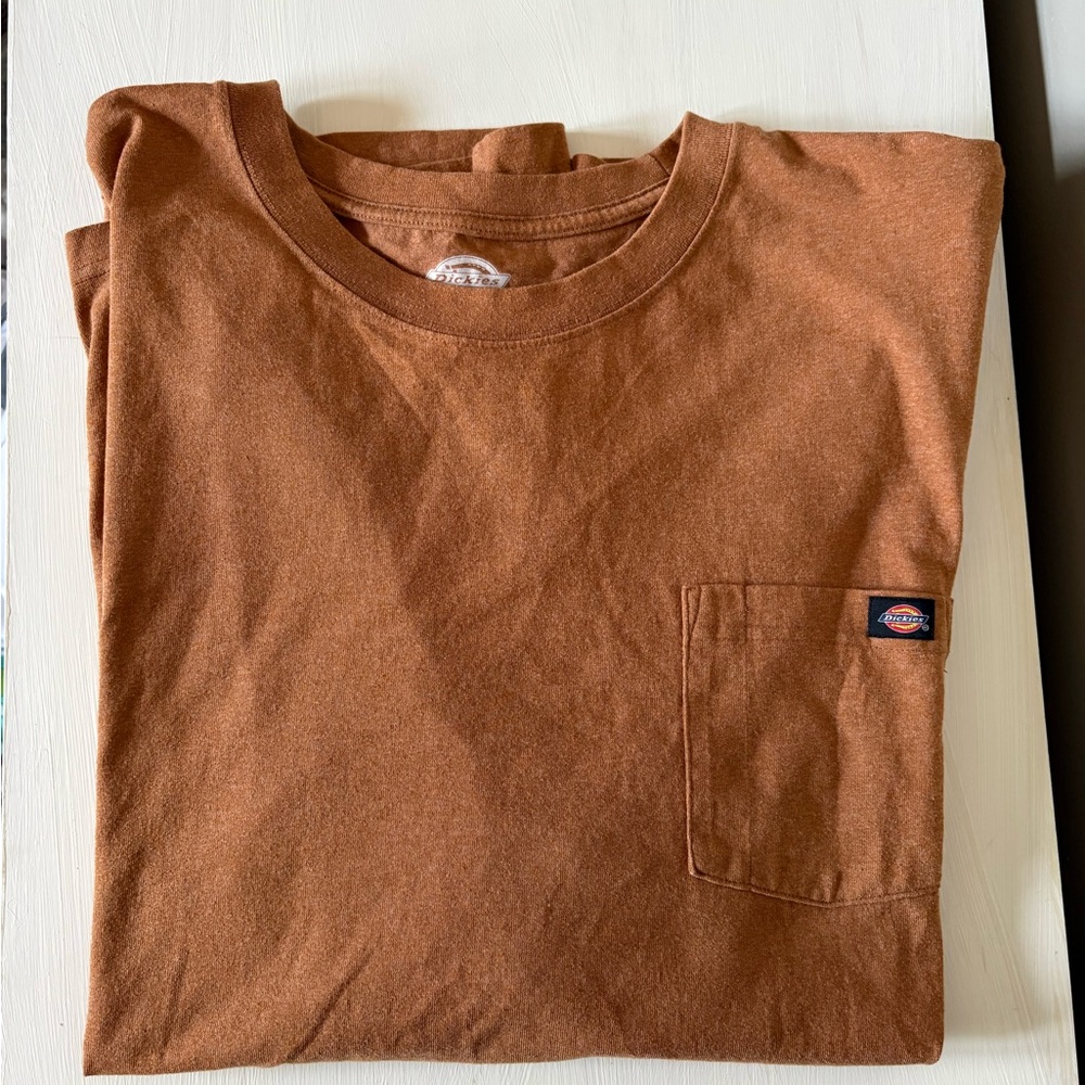 Dickies Short Sleeve Tee in Rust